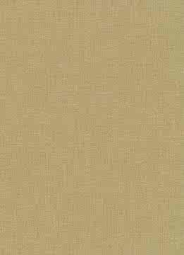 Erismann Spotlight & Crispy 12073-30 Duvar Kağıdı