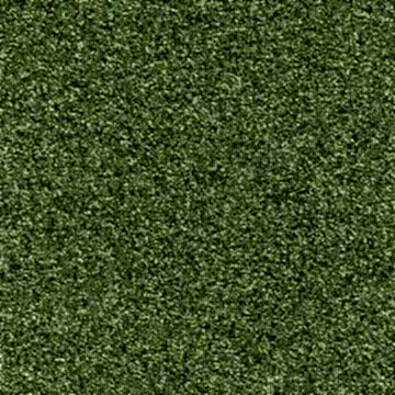 Contesse Darwin 34 Karo Halı