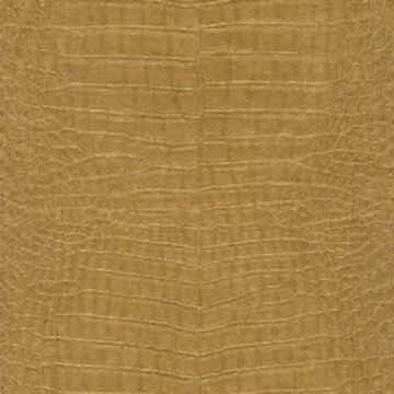 Rasch African Queen III 751369 Duvar Kağıdı