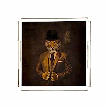 Mr. Tiger Pleksi Tepsi PT2100 - 40cm*40cm