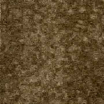 Bambino 123388
